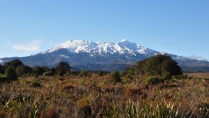 Tongariro N.P.