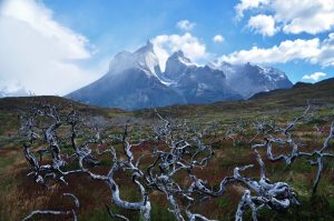 Torres del Paine N.P