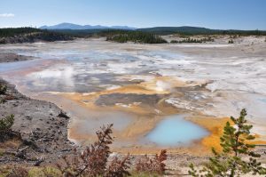 Yellowstone NP